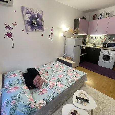 студио Sunny Day 6 Sunny 阳光海滩