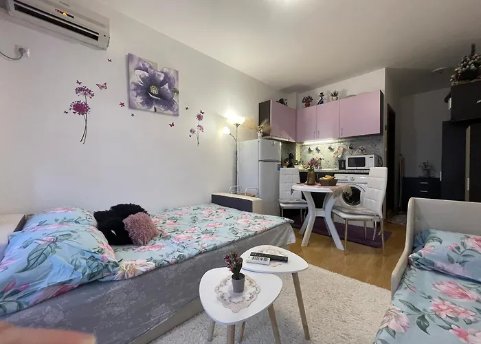 студио Sunny Day 6 Sunny 公寓 *