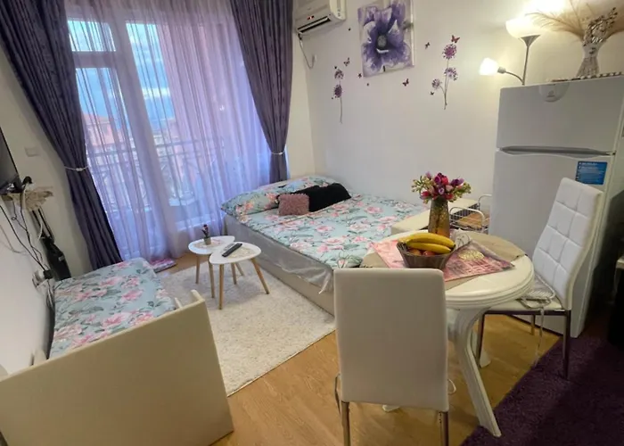 студио Sunny Day 6 Sunny 阳光海滩