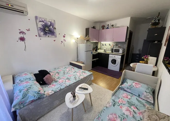 студио Sunny Day 6 Sunny 公寓 *