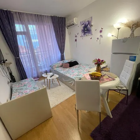 студио Sunny Day 6 Sunny Napospart