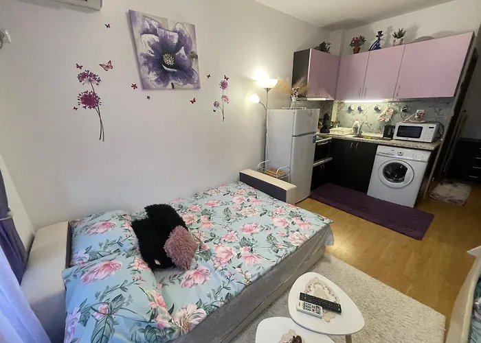 студио Sunny Day 6 Sunny ساني بيتش