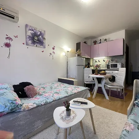 студио Sunny Day 6 Sunny Appartement *