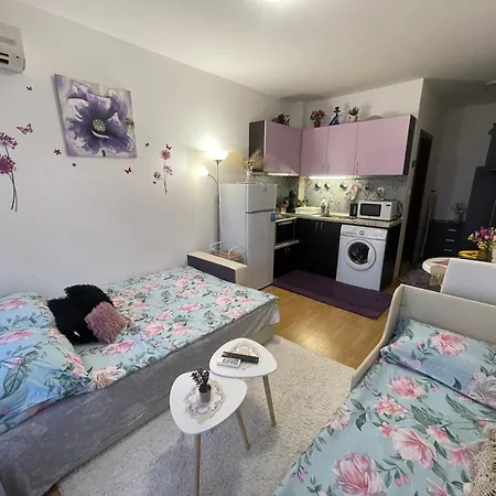 студио Sunny Day 6 Sunny Appartement *