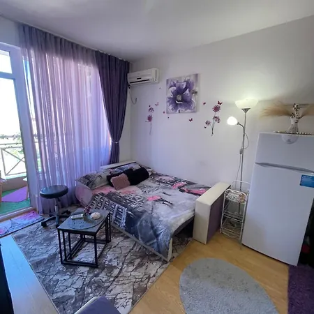Apartment студио Sunny Day 6 Sunny *